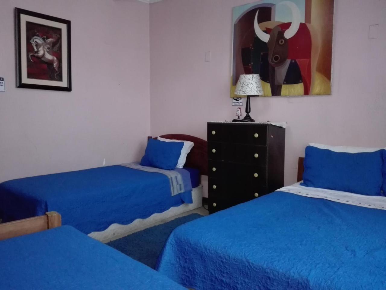 Hotel De Talca Talca  Dış mekan fotoğraf
